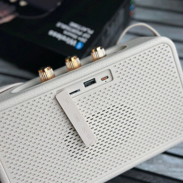 New Stockwell 3 Wireless Bluetooth Speaker | Dolby Sound | USB Playback | Carbon Texture Body | Type-C Charging | Portable Handle | Long Battery Backup