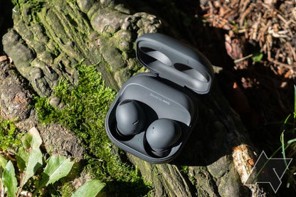 Buds2 pro (3 months warranty)