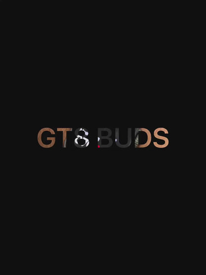 Gt8 Smartwatch with Buds